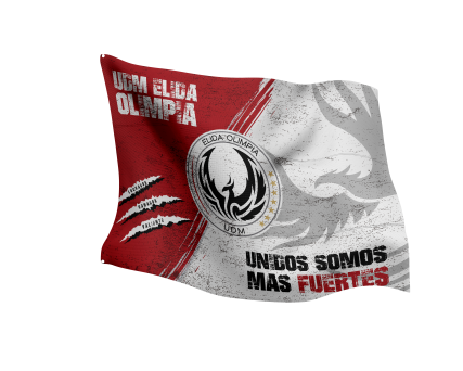 Banderas Personalizadas 11