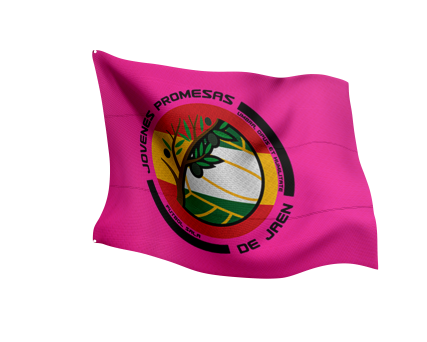 Banderas Personalizadas 2