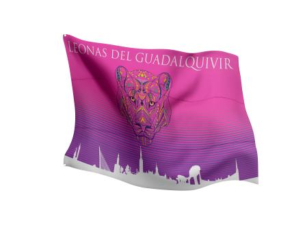 Banderas Personalizadas 14