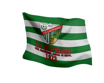 Banderas Personalizadas 3