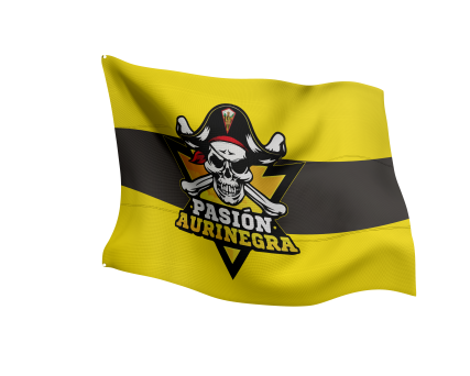 Banderas Personalizadas 6