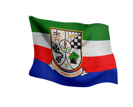 Banderas Personalizadas 8